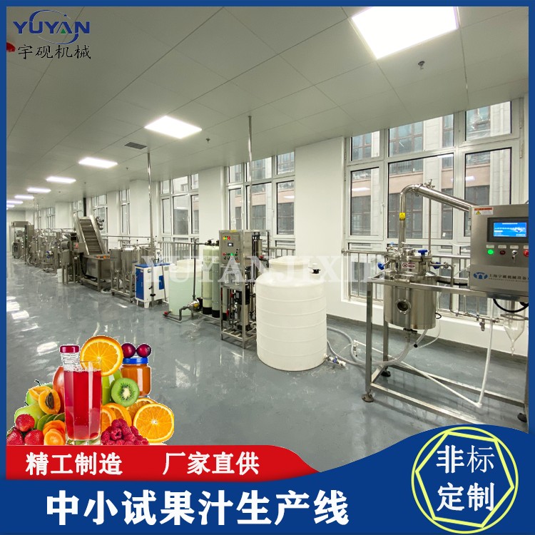 中试型多用途果蔬汁饮料生产线